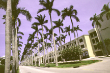 Royal Palm Way, Palm Beach